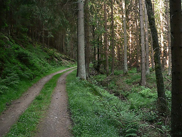Wanderweg, Dreisbachtal