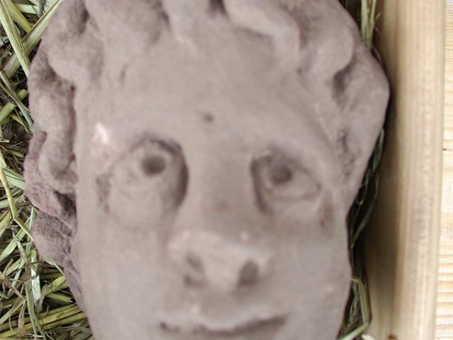 gr_13_20150122_1227252781