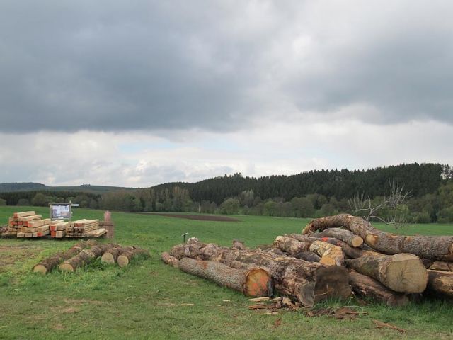 sae_13_20150126_1903601867