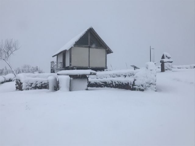 winter_2019_20_1_20200303_2066493060