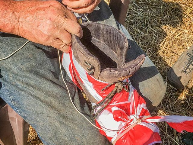 grabung_2019_1_20190914_1688042342