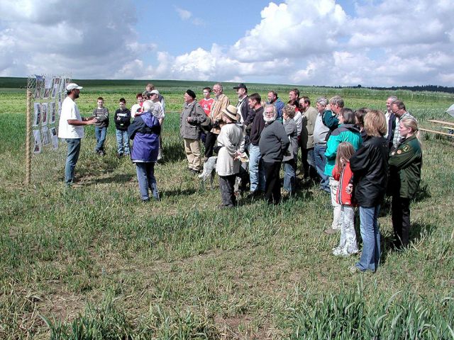 zz_26_20150124_1723735236