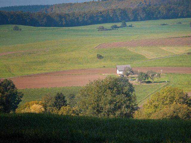 in_13_20150126_1457136236