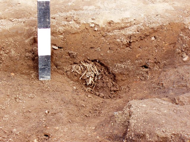 gr_3_20150122_1619329996