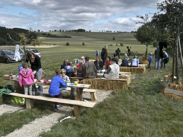 ve_17_20150124_1894243881