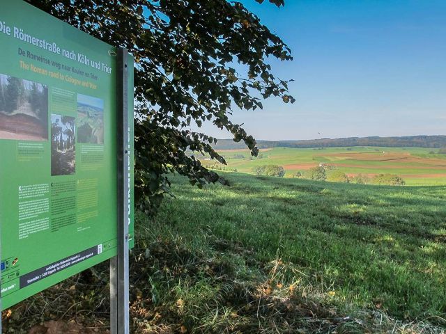 in_12_20150126_1890250572