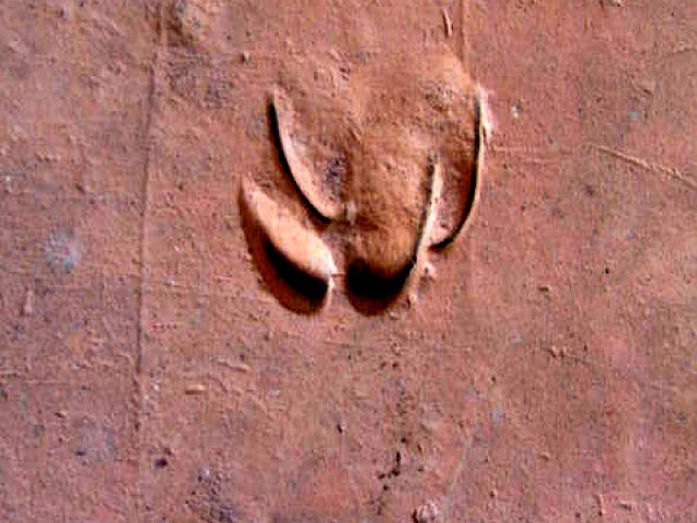 a_24_20150123_1354942451