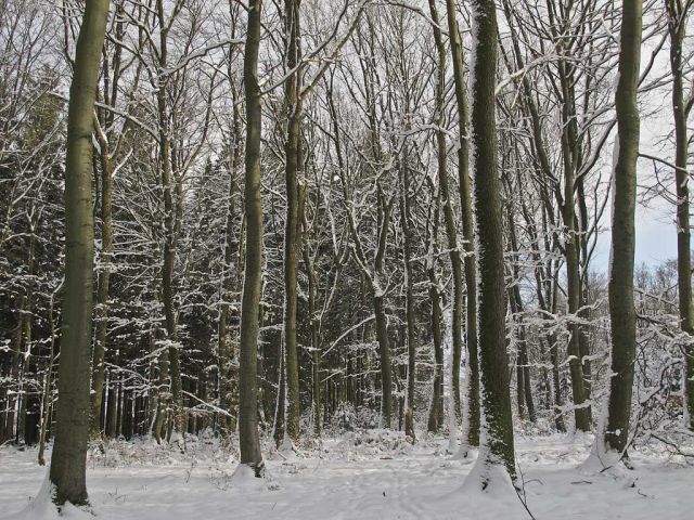 so_32_20150126_1432965425