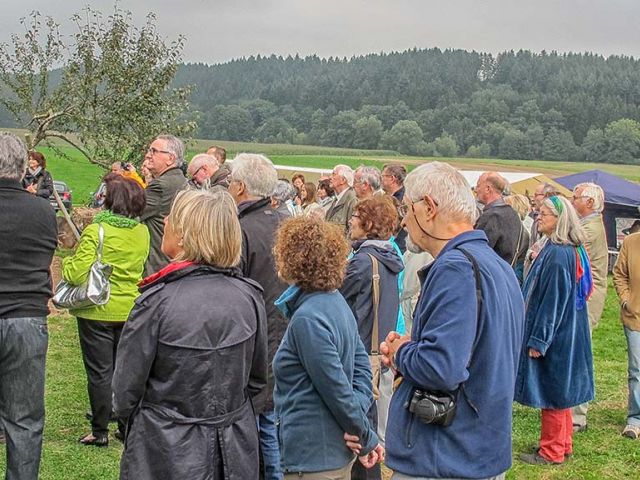 6pf_116_20150126_1014361703