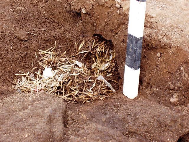 gr_5_20150122_1216924981