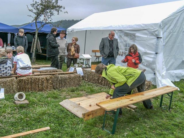 6pf_128_20150126_1029638673