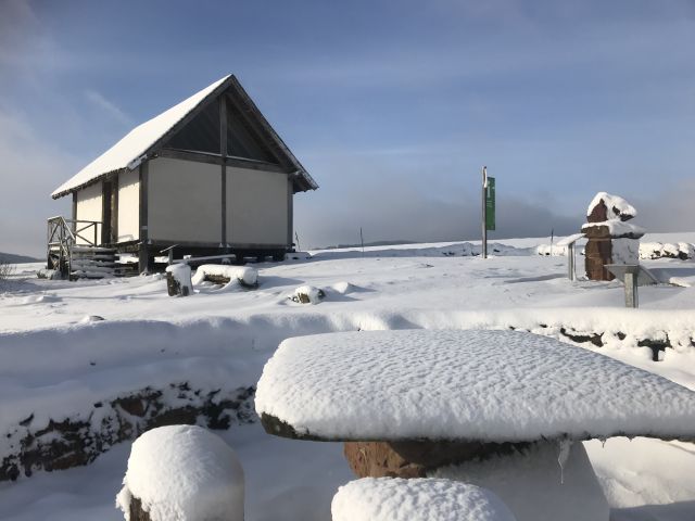 winter_2019_20_6_20200303_1795600470