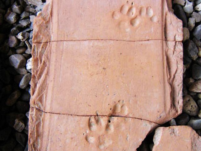 a_17_20150123_1147196611